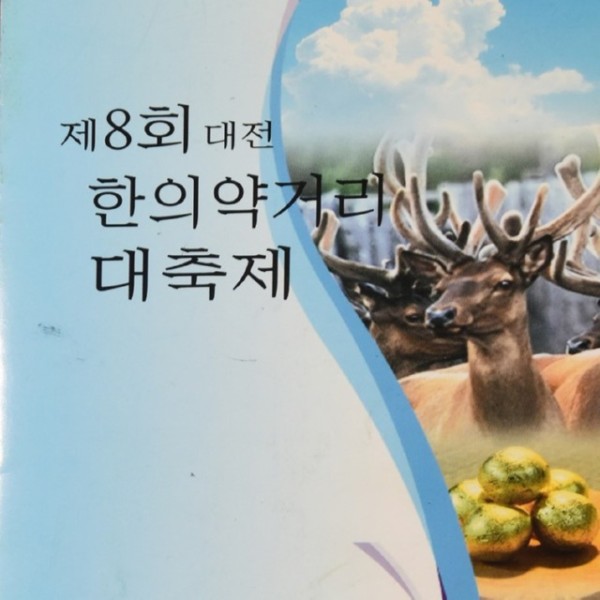 07 제8회한의약거리대축제.JPG